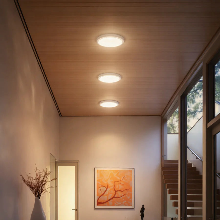 Glorovi Ceiling Light