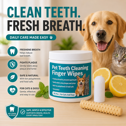Glorovi Dental Finger Wipes