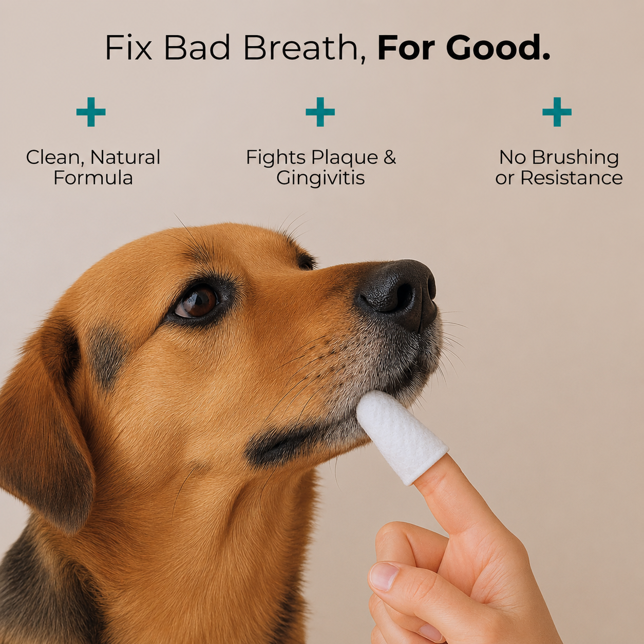 Glorovi Dental Finger Wipes